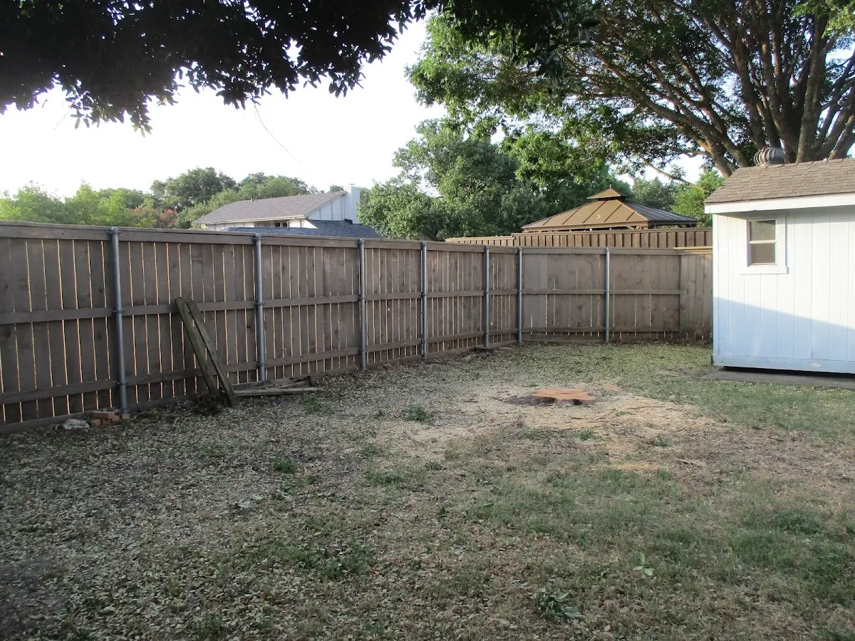 Cleared yard after professional tree removal in New Buffalo